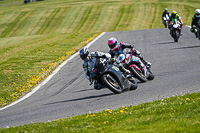 Advanced Group Black Bikes
